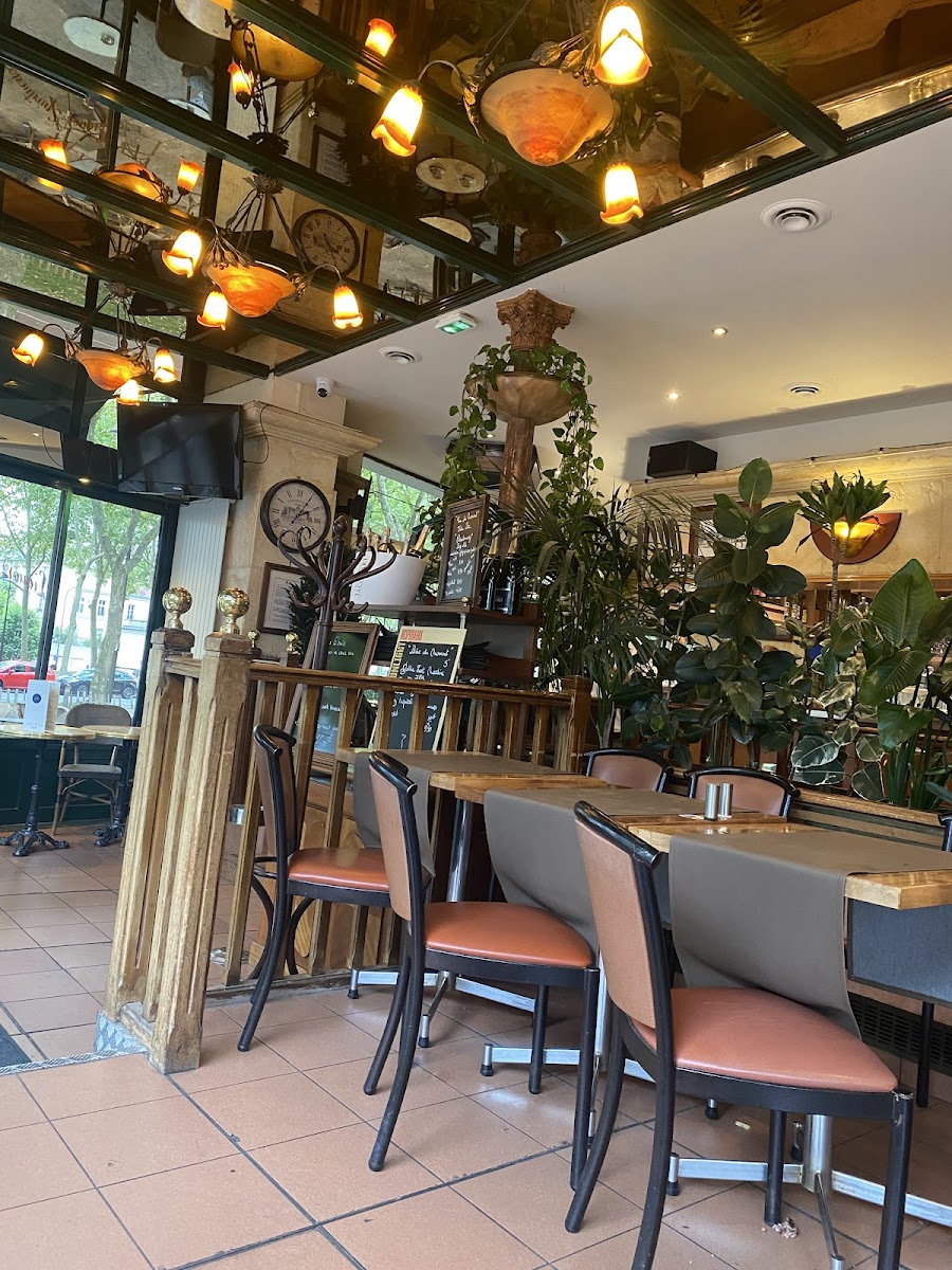 Slide Background Image